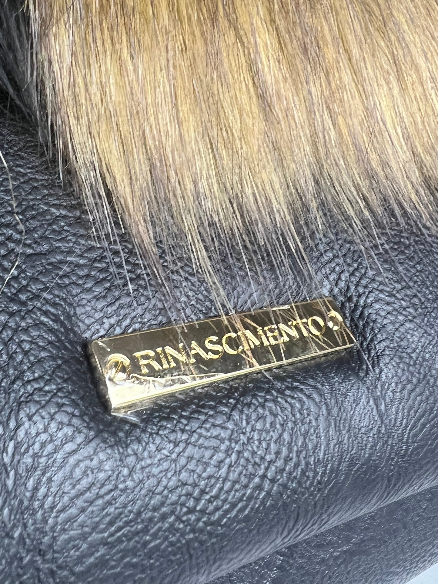 Rinascimento